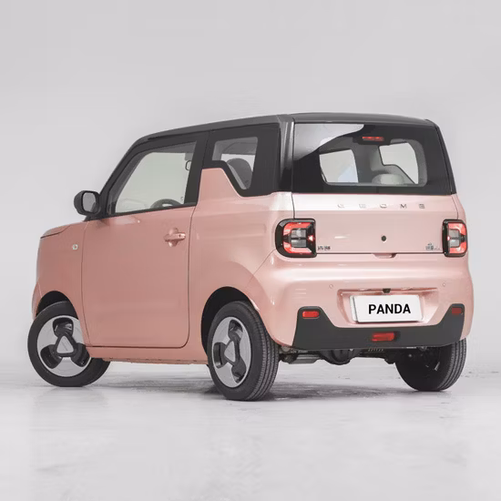 2023 Nuovo stile Zeekr 001 Auto elettrica EV per veicoli a nuova energia per adulti